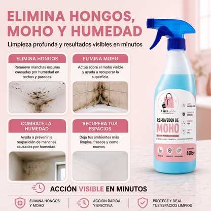 Adiós Moho – Removedor de moho | Paredes limpias, protegidas y como nuevas fácilmente.